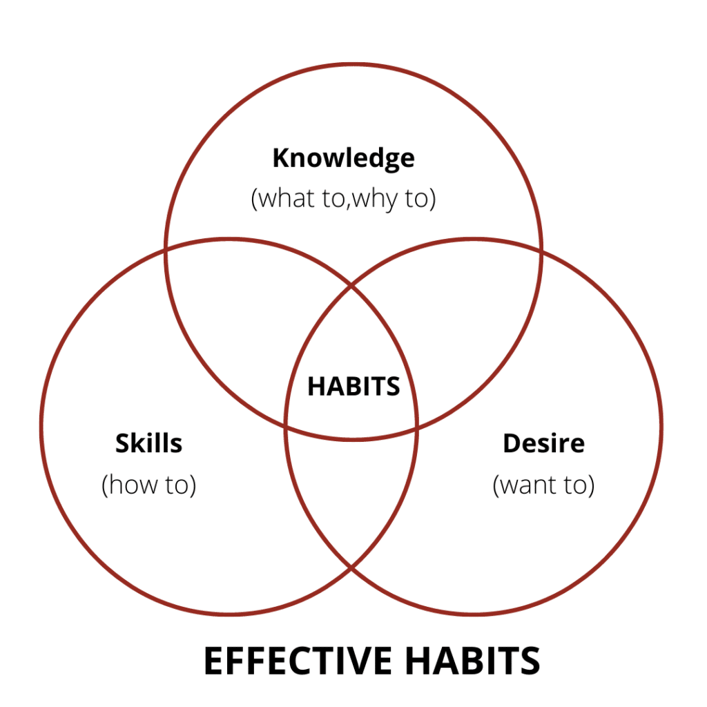 seven habits of highly effective people paradigm